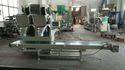 漯河土豆包裝機 瑞利技術開發的創新與報價解析